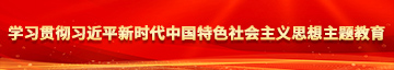 亚洲另类操逼视频学习贯彻习近平新时代中国特色社会主义思想主题教育